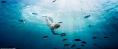 绿色环保赛事管理